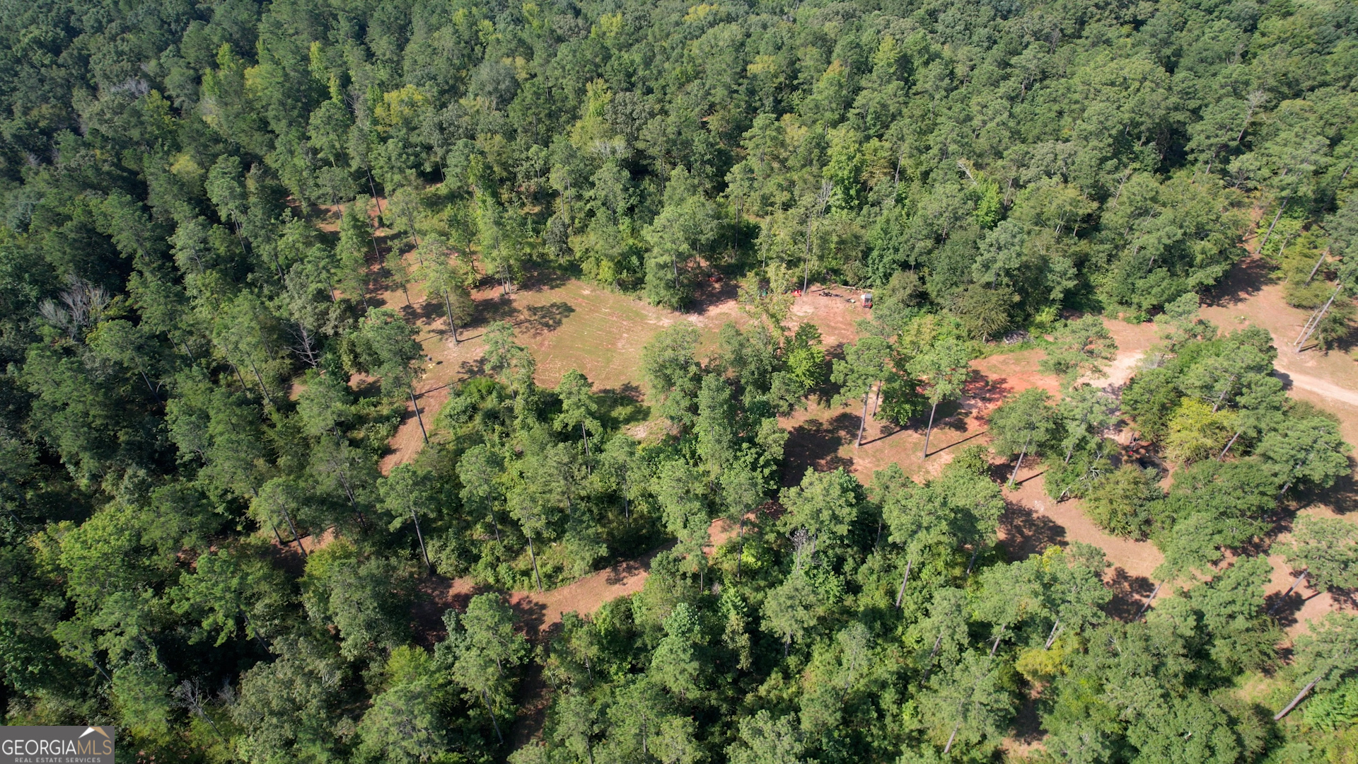 940 Newton Factory Bridge Road Covington, GA 30014 - Photo 44 of 58 view of a forest with a tree