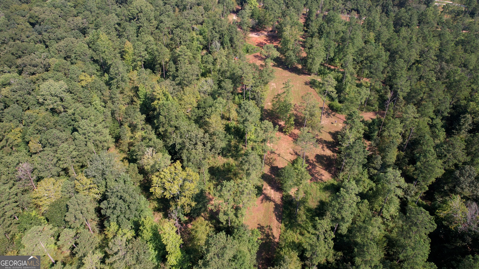 940 Newton Factory Bridge Road Covington, GA 30014 - Photo 48 of 58 a view of a forest