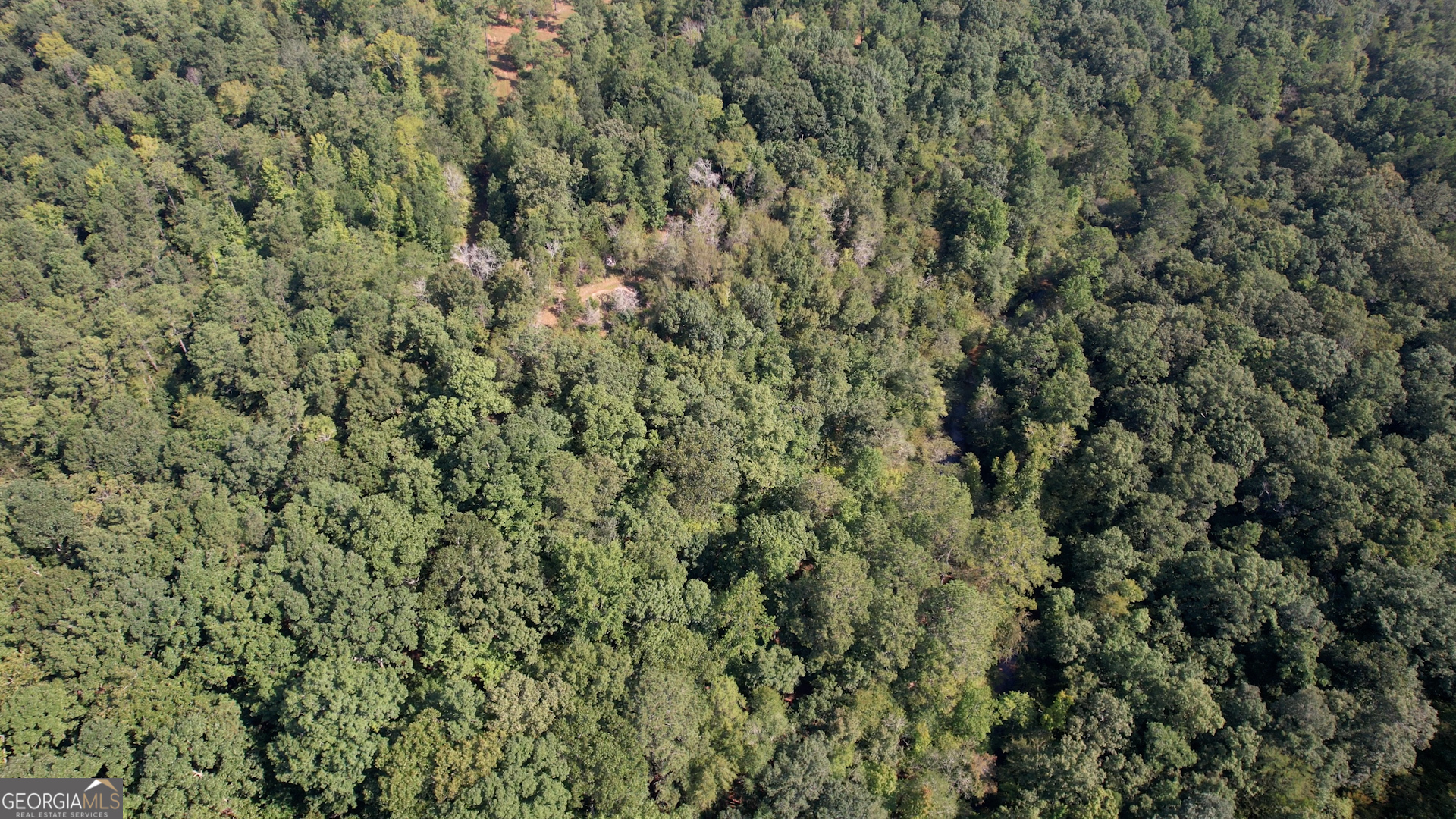940 Newton Factory Bridge Road Covington, GA 30014 - Photo 50 of 58 a view of a covered with lush green forest
