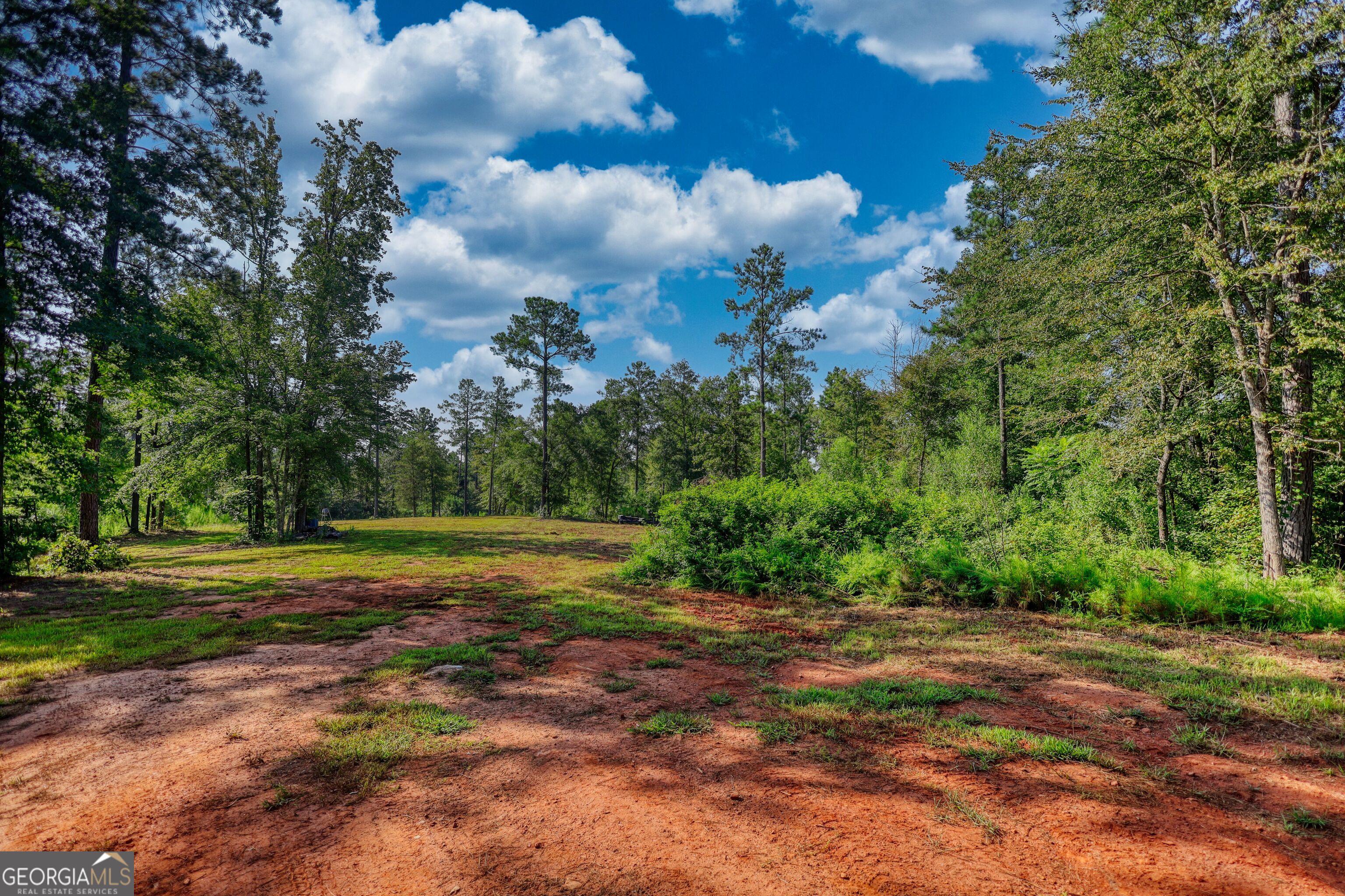 940 Newton Factory Bridge Road Covington, GA 30014 - Photo 5 of 58 a view of a big yard