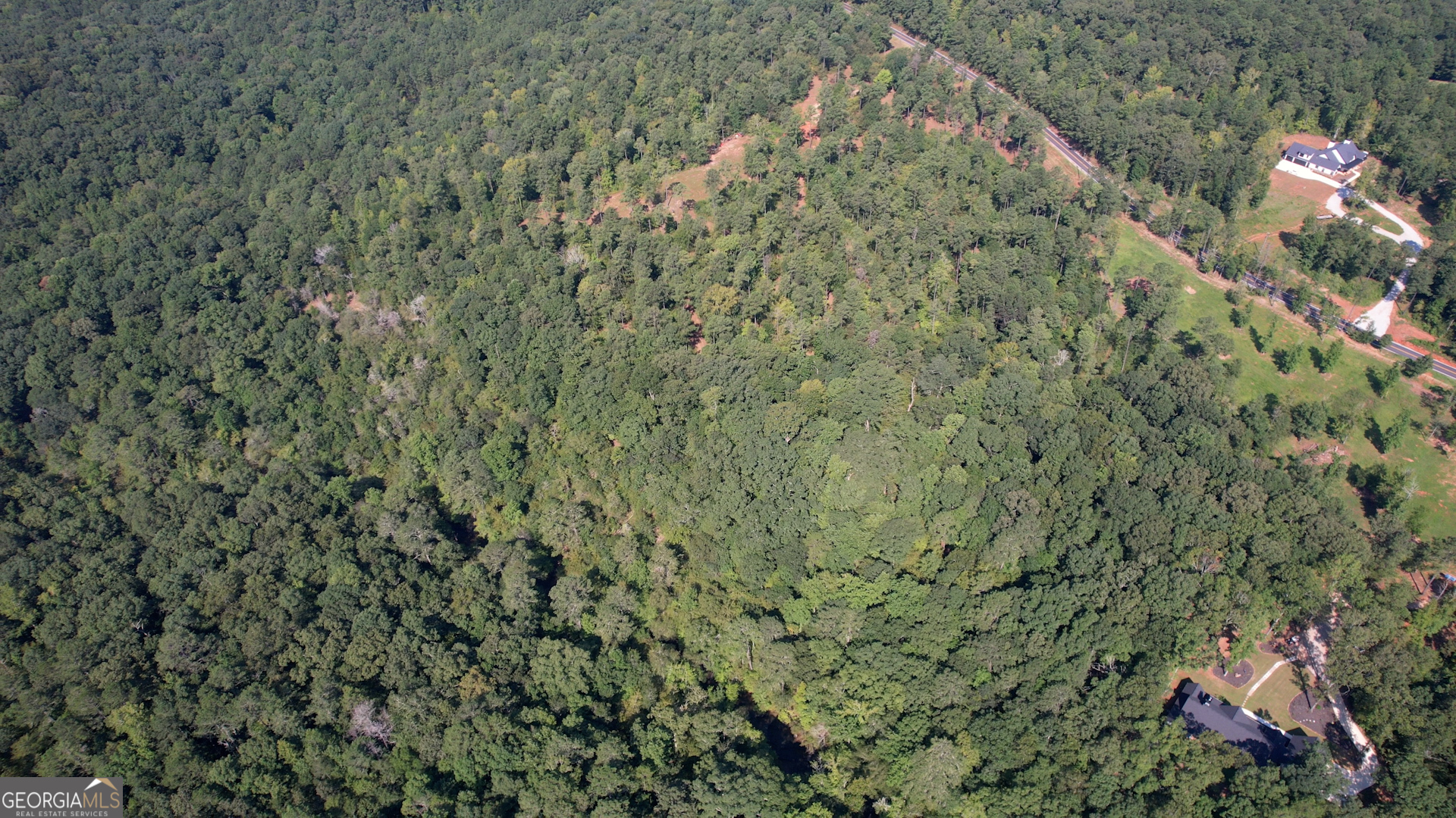 940 Newton Factory Bridge Road Covington, GA 30014 - Photo 52 of 58 a view of a forest with a tree