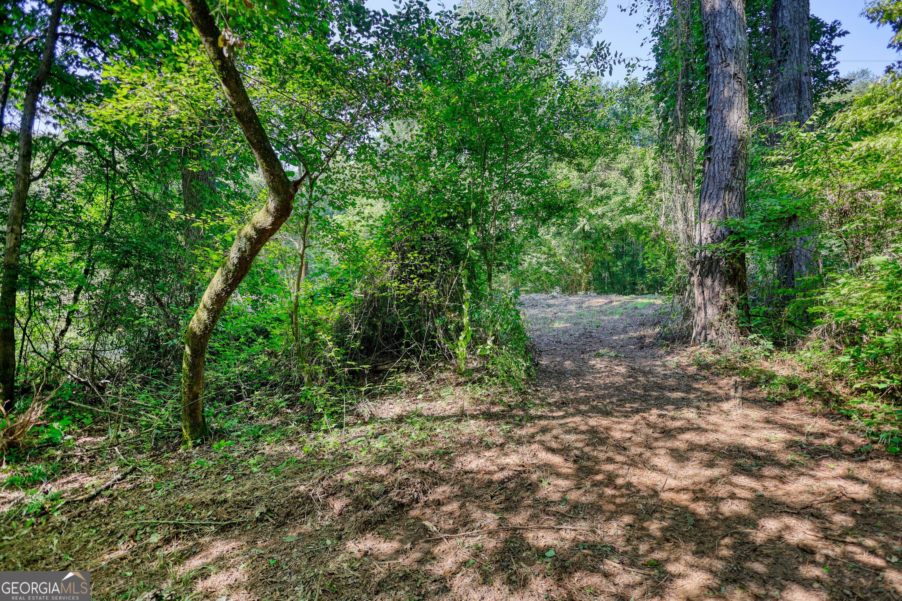 940 Newton Factory Bridge Road Covington, GA 30014 - Photo 6 of 58 a big yard with lots of green space and deers