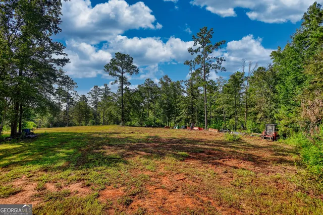 a view of a yard with a tree