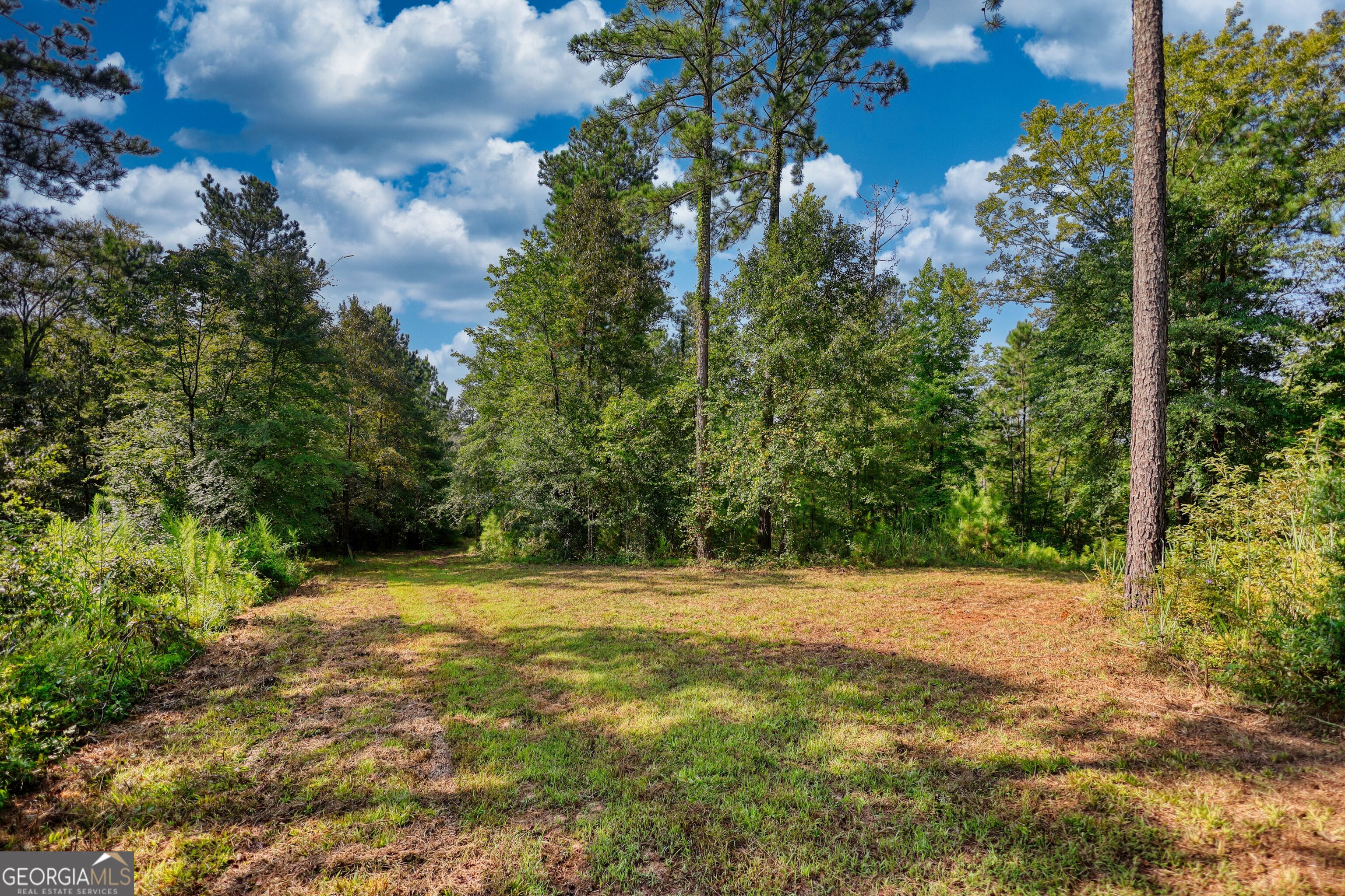 940 Newton Factory Bridge Road Covington, GA 30014 - Photo 8 of 58 a view of a trees with a yard