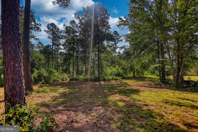 a view of outdoor space with trees