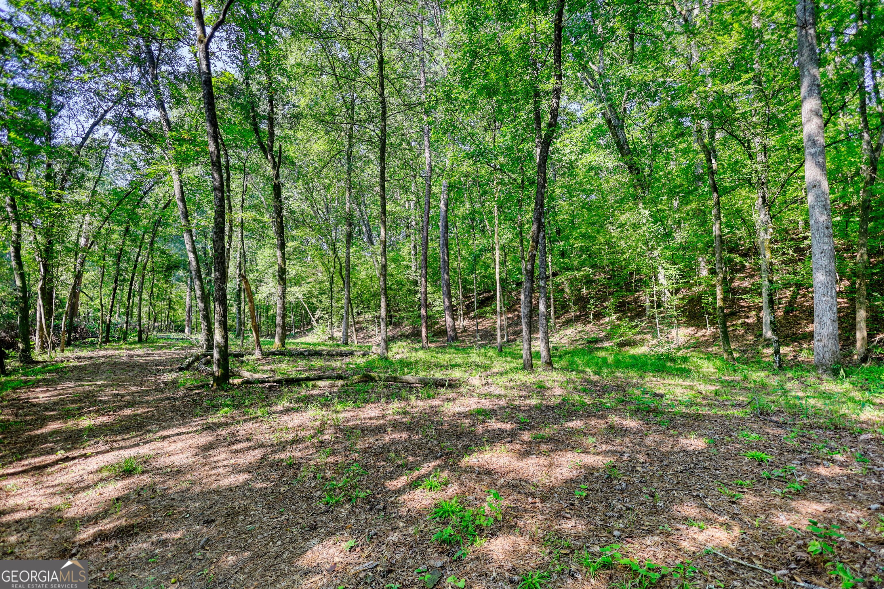 940 Newton Factory Bridge Road Covington, GA 30014 - Photo 10 of 58 a view of outdoor space with trees all around