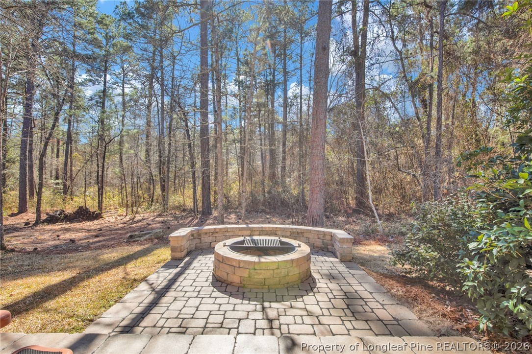 207 Pinetop Drive Carthage, NC 28327 - Photo 43 of 50