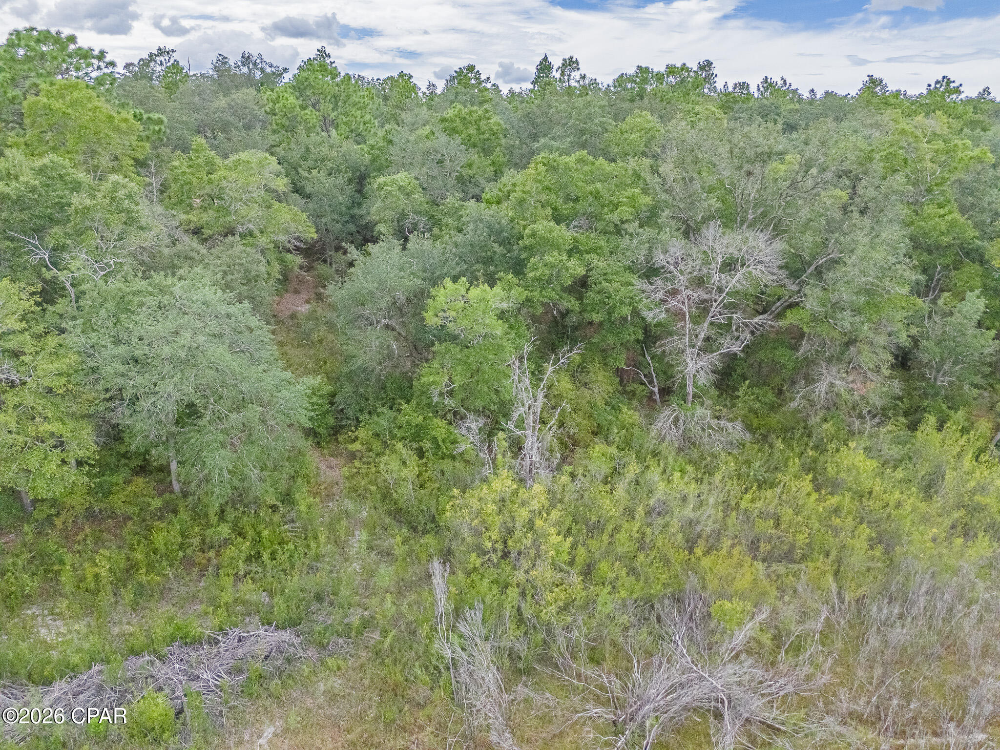 0 Quail Ridge Drive, Unit LOT B251 Chipley, FL 32428 - Photo 12 of 15 Gallery Image 12