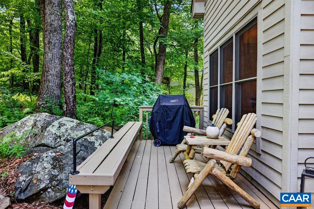 1300 Blue Ridge Drive Roseland, VA 22967 - Photo 10 of 48