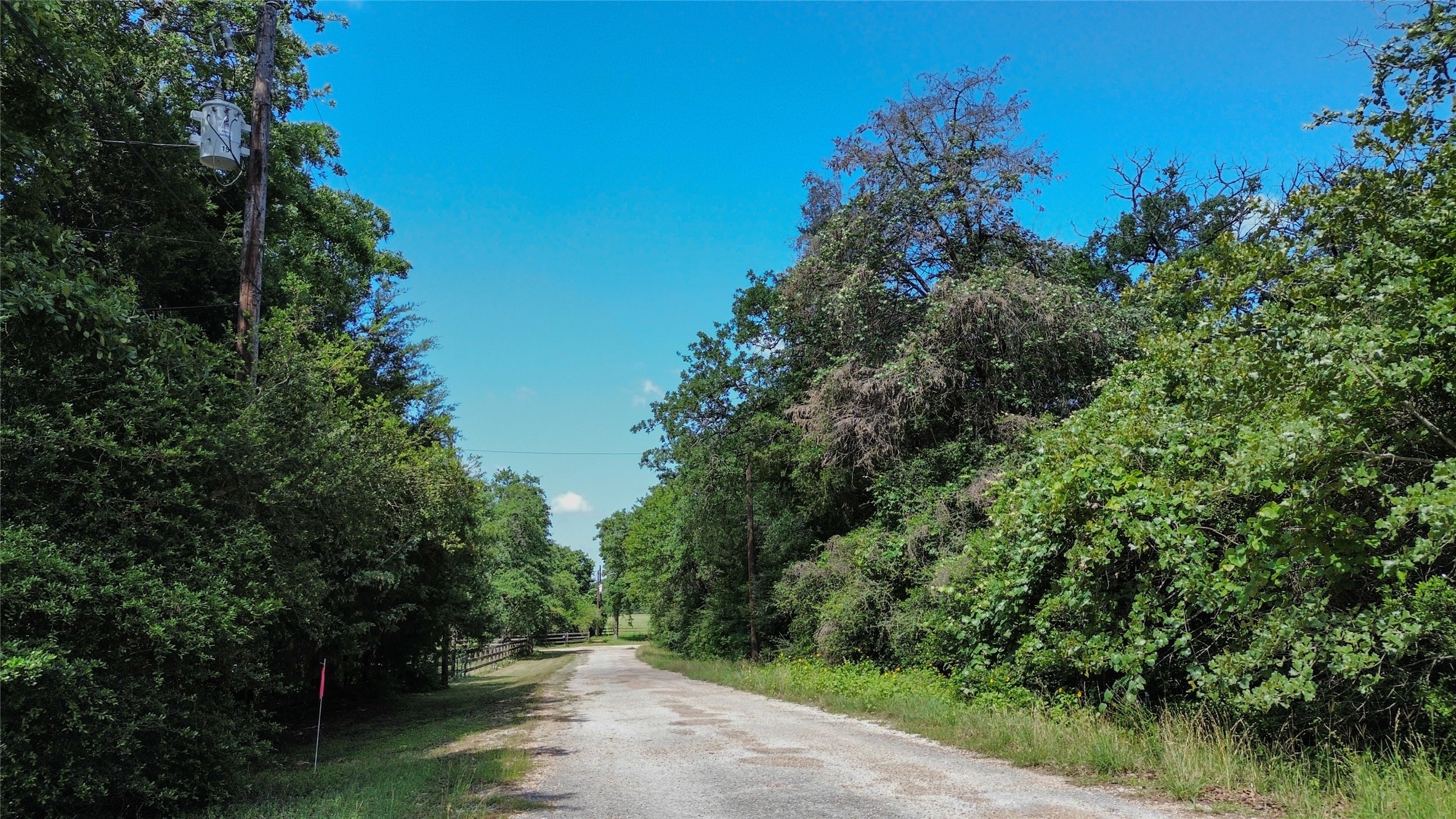 0 Phillips Street Lexington, TX 78947 - Photo 1 of 16