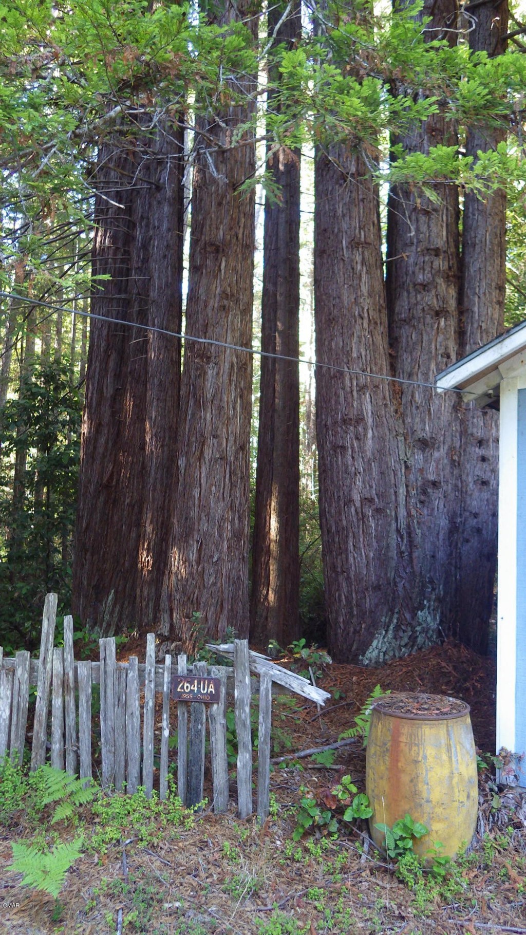 32450 Albion Ridge C Road Albion, CA 95410 - Photo 1 of 1 a view of a yard with a fountain
