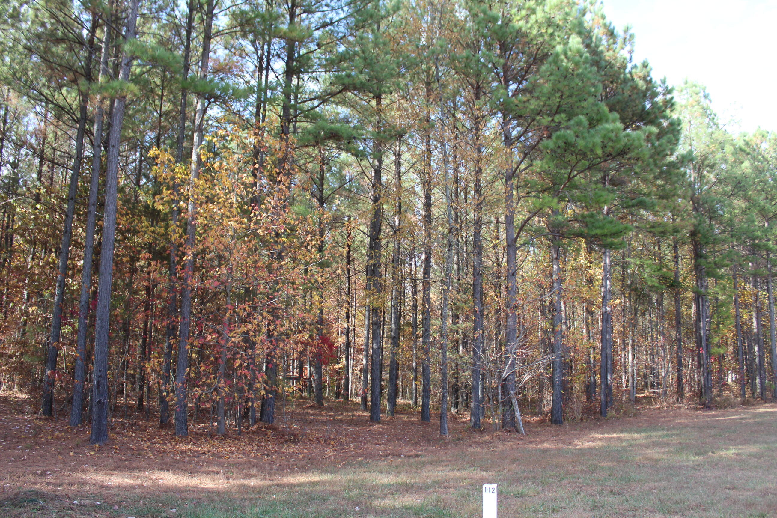465 Compass Drive Jasper, TN 37347 - Photo 2 of 32 IMG_2342