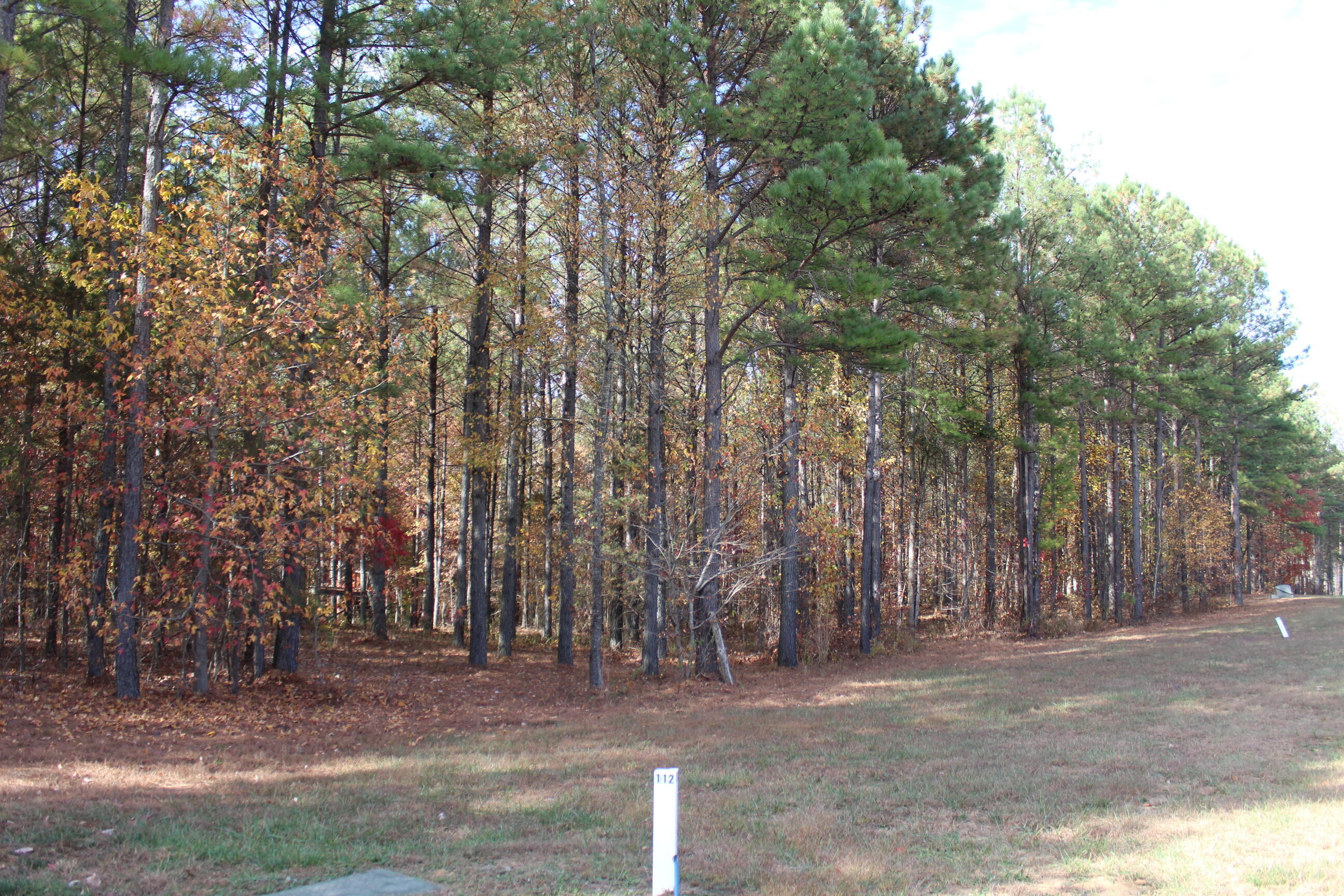 465 Compass Drive Jasper, TN 37347 - Photo 3 of 32 IMG_2343