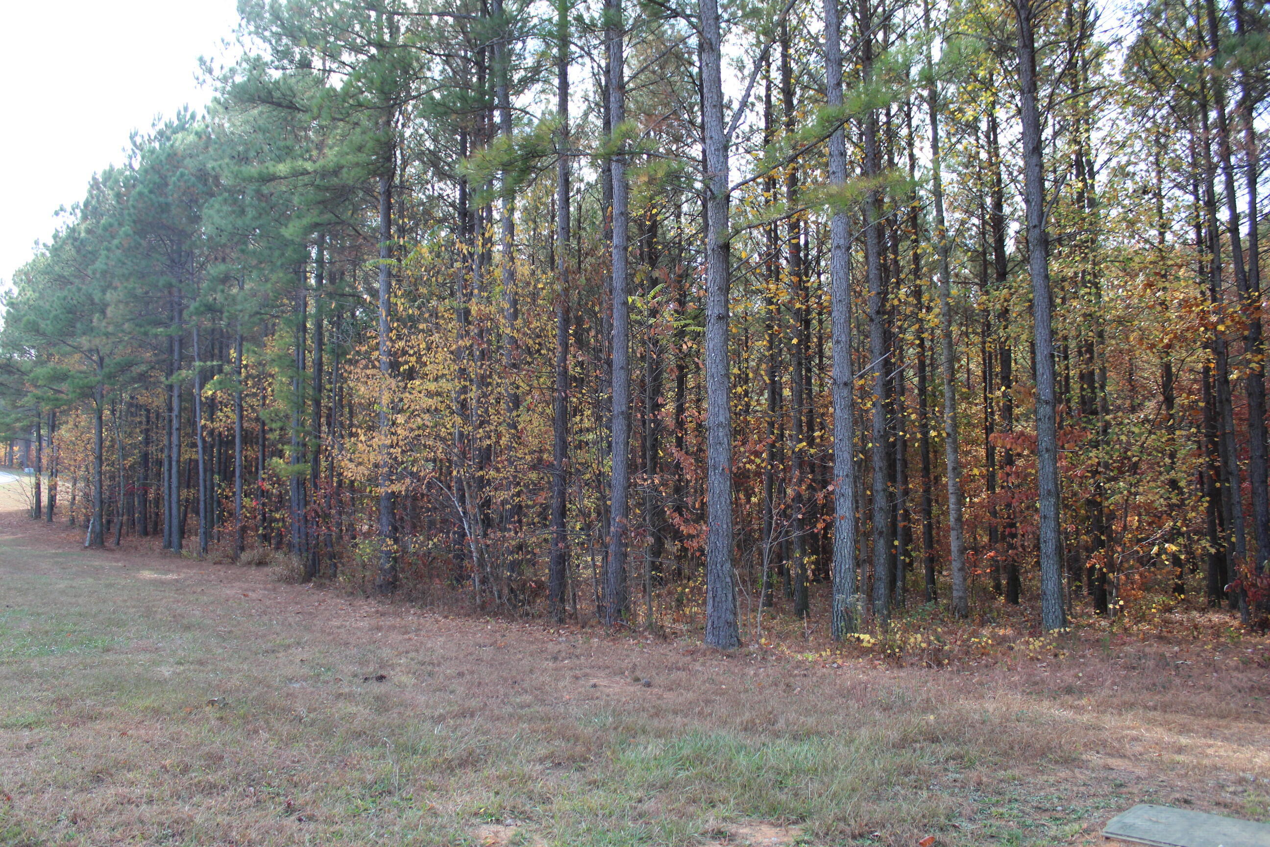 465 Compass Drive Jasper, TN 37347 - Photo 5 of 32 IMG_2346