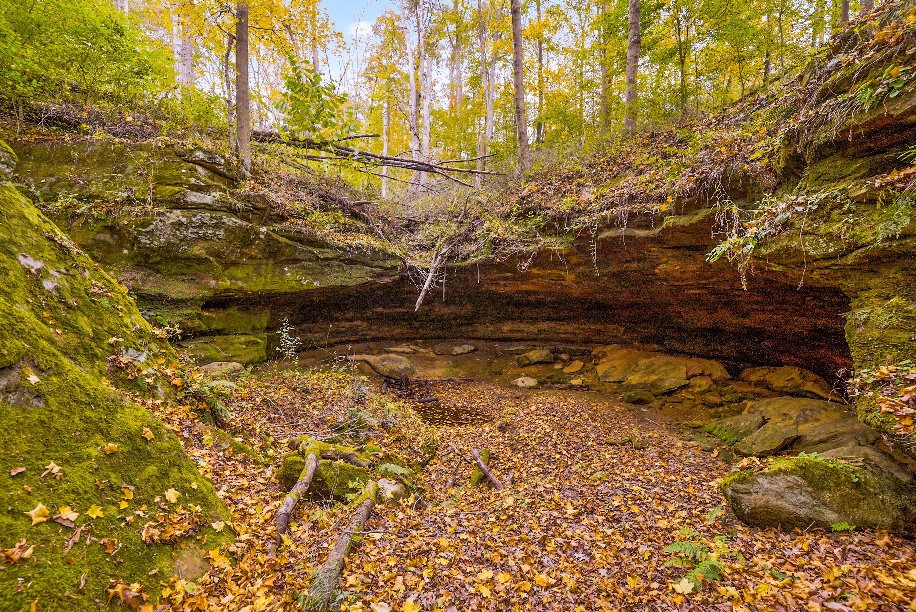 28132 Dupler Road Logan, OH 43138 - Photo 126 of 130 161-print-DSC08856