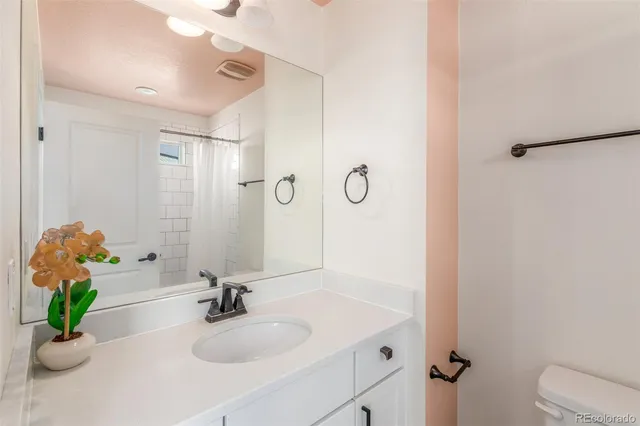 a bathroom with a sink a toilet and a mirror