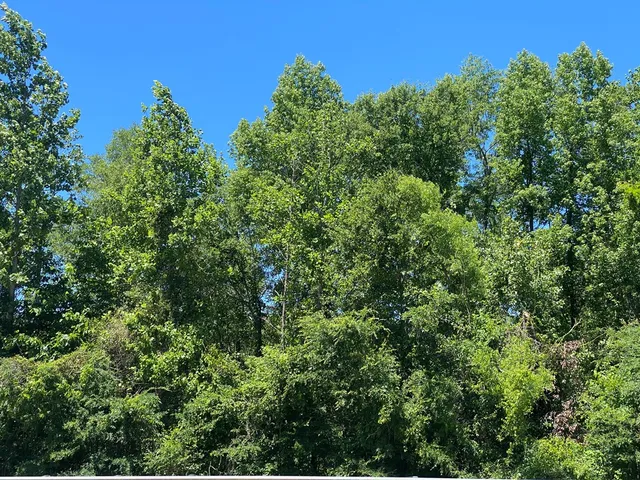 $84,988 | 0 Th Street, Cusseta, GA 31805