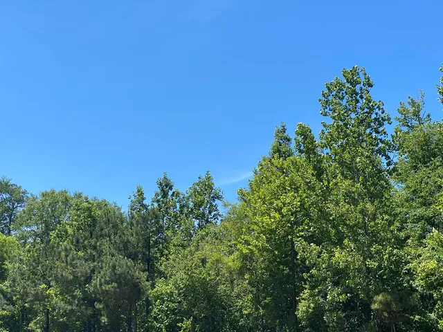 $84,988 | 0 Th Street, Cusseta, GA 31805