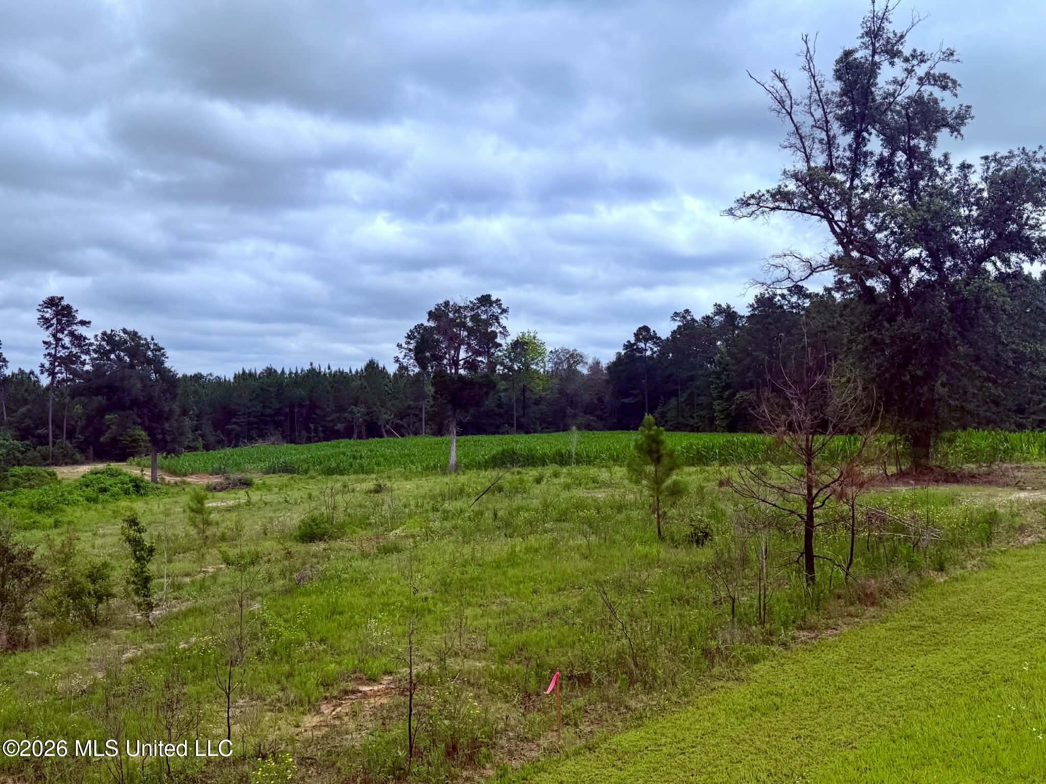 1882 McInnis Vernal Road Lucedale, MS 39452 - Photo 14 of 20 c094f01b-46a4-4f06-ae97-74c5896b7fad