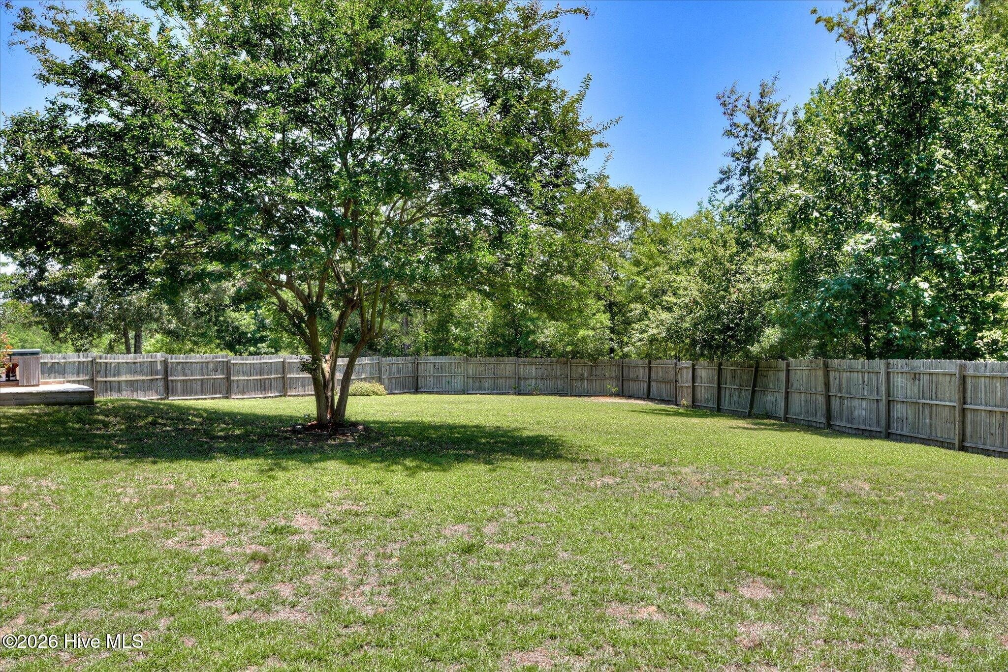 1146 Oxpens Road Warrenville, SC 29851 - Photo 32 of 33