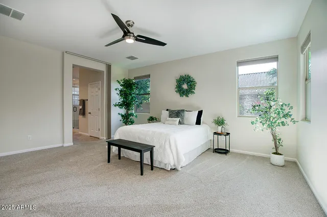 a spacious bedroom with a bed and a potted plant