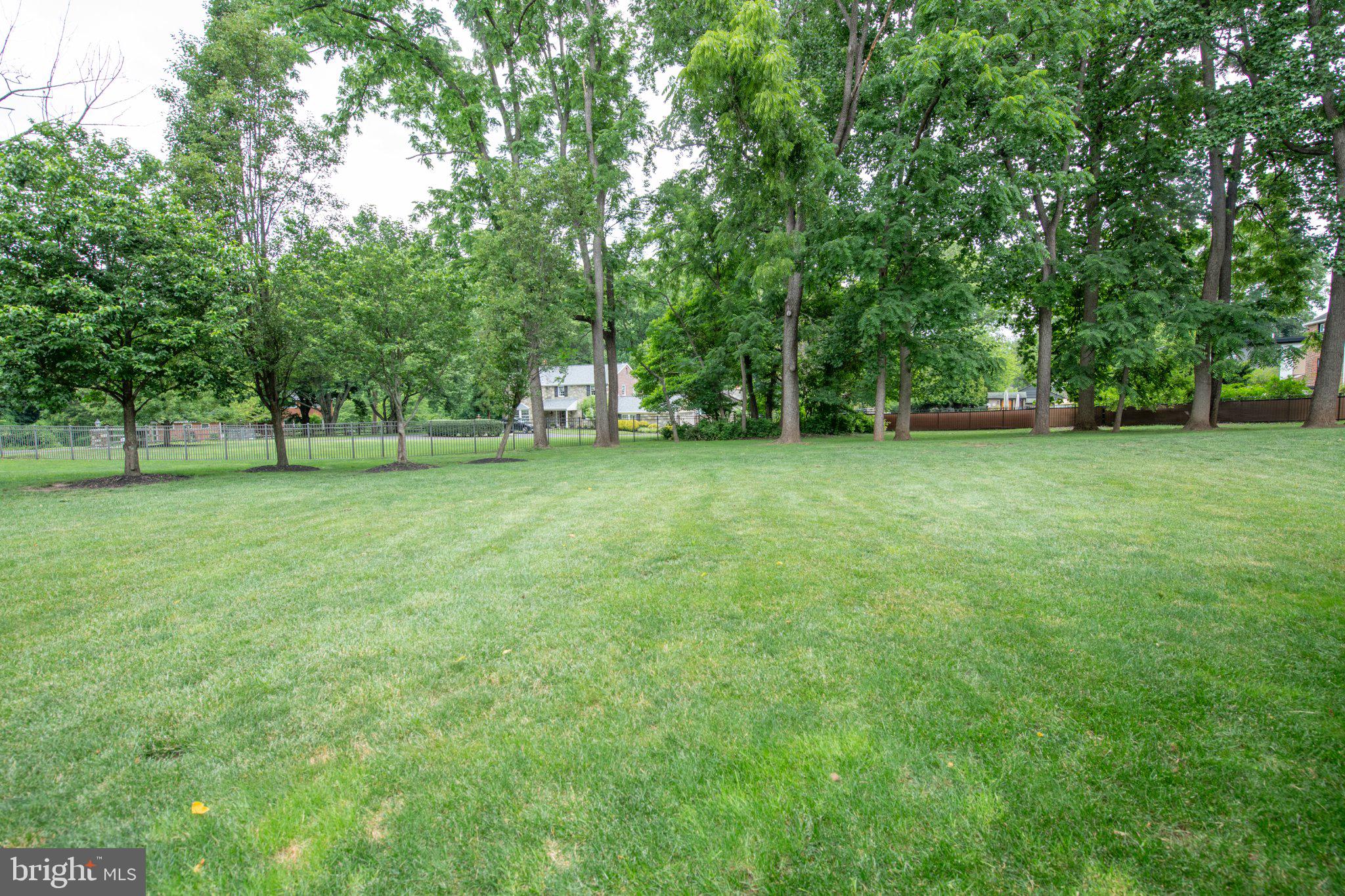 711 Moredon Road Jenkintown, PA 19046 - Photo 13 of 140 Lush green oasis in a serene setting.