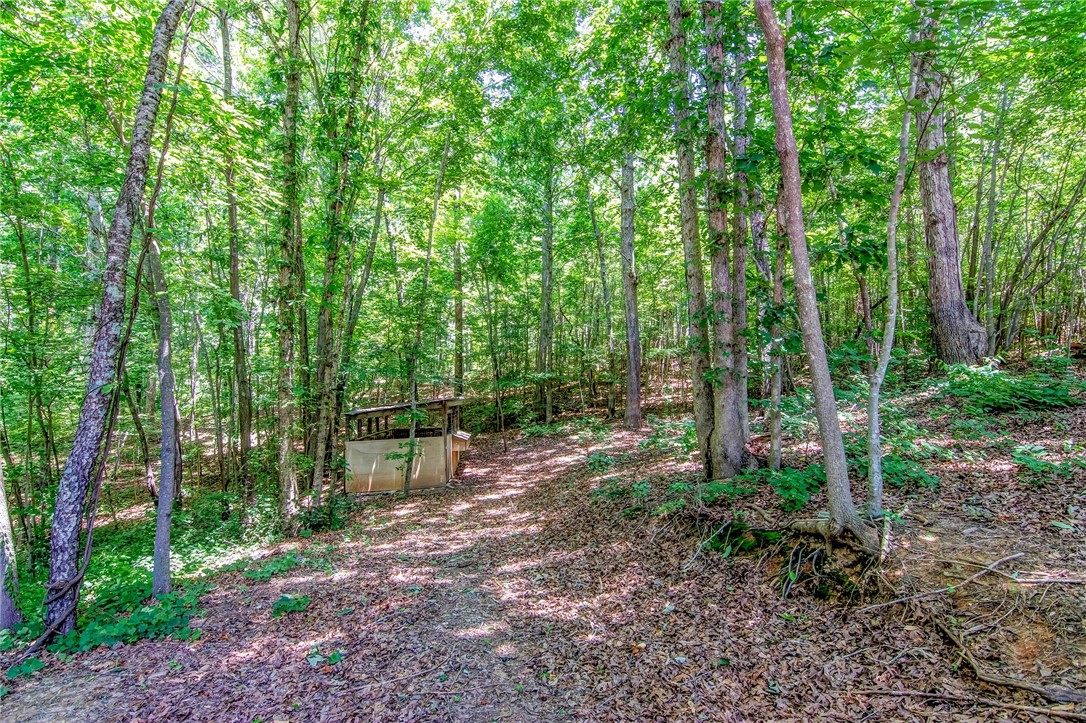 221 Spake Road, Unit PENDLETON Pendleton, SC 29670 - Photo 23 of 36