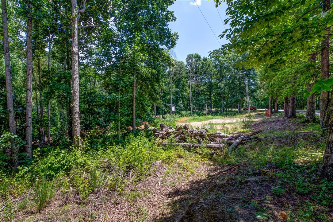 221 Spake Road, Unit PENDLETON Pendleton, SC 29670 - Photo 25 of 36