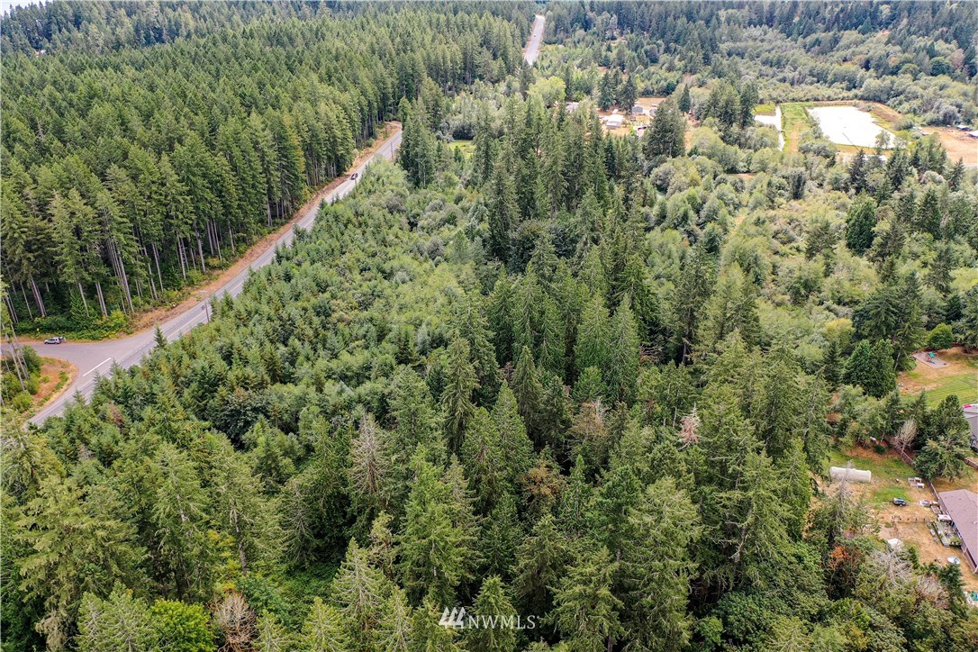 0 Grapeview Loop Road Allyn, WA 98524 - Photo 9 of 22 Gallery Image 9