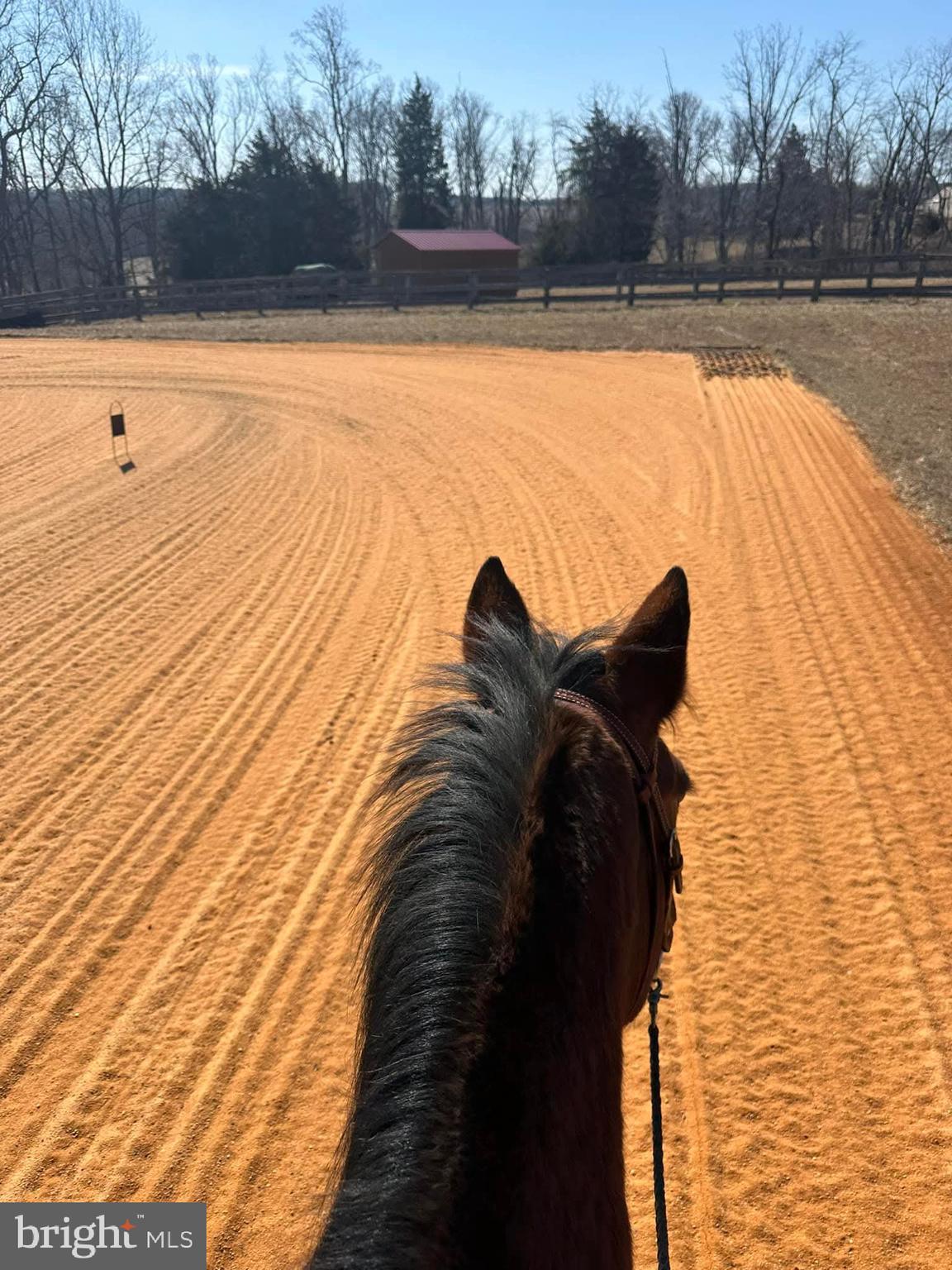 3054 Whiteford Road Whiteford, MD 21160 - Photo 8 of 8 a view of a swimming pool and an outdoor space