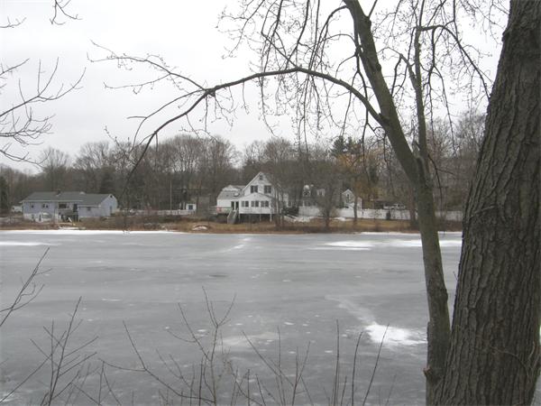 68 Pond Street Canton, MA 02021 - Photo 1 of 7 Gallery Image 1