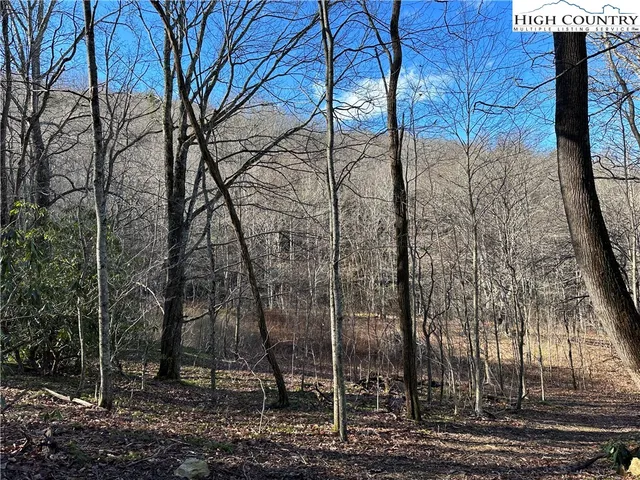 $6,600,000 | 461 Spice Bottom Trail, Banner Elk, NC 28604
