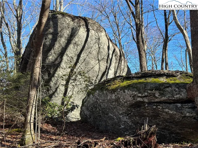 $6,600,000 | 461 Spice Bottom Trail, Banner Elk, NC 28604