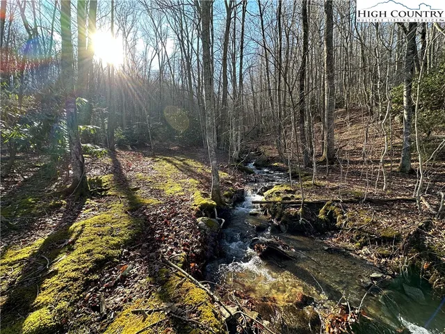 $6,600,000 | 461 Spice Bottom Trail, Banner Elk, NC 28604