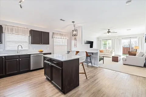 a view of a yard with plants and large trees