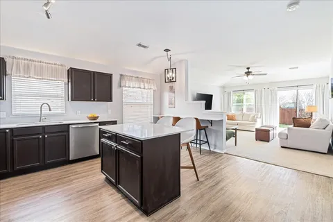 a view of a yard with plants and large trees