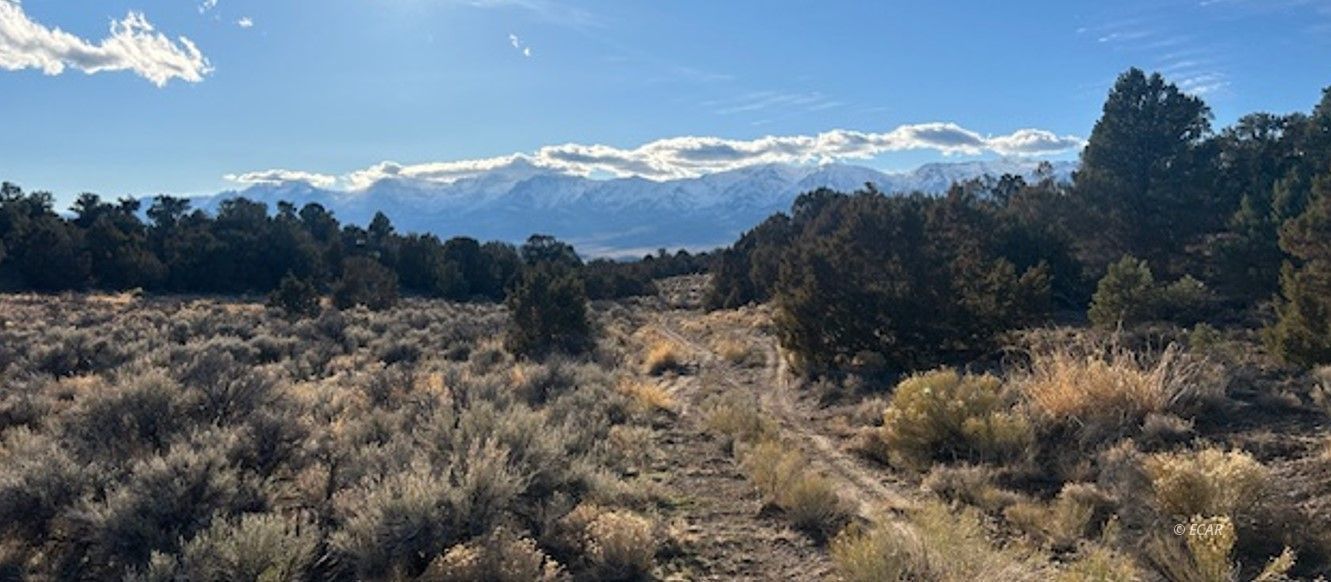 2 Track Wells Wells, NV 89835 - Photo 6 of 12