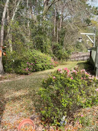 a view of a garden with plants