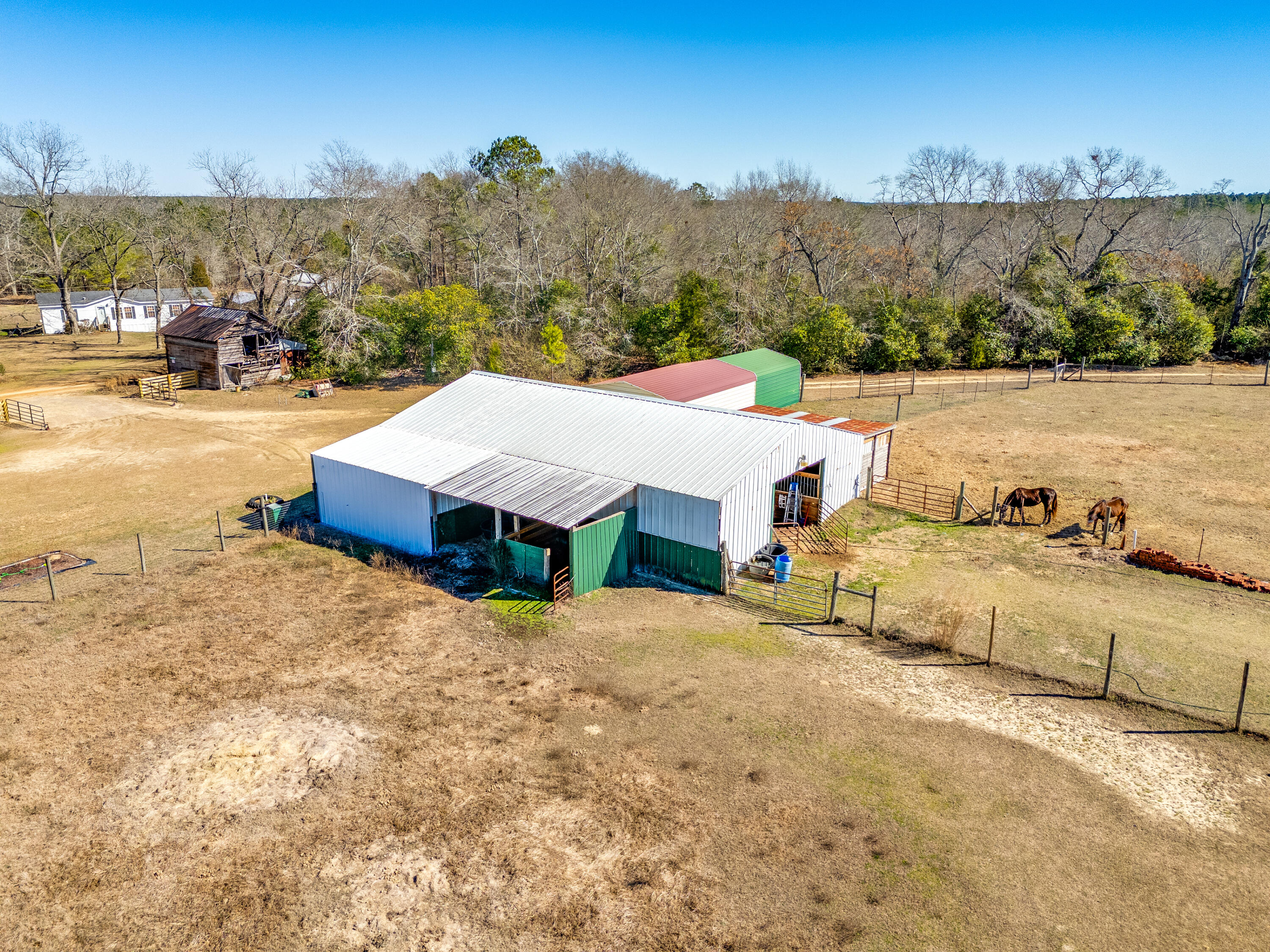 1080 Fox Young Road Wagener, SC 29164 - Photo 59 of 65