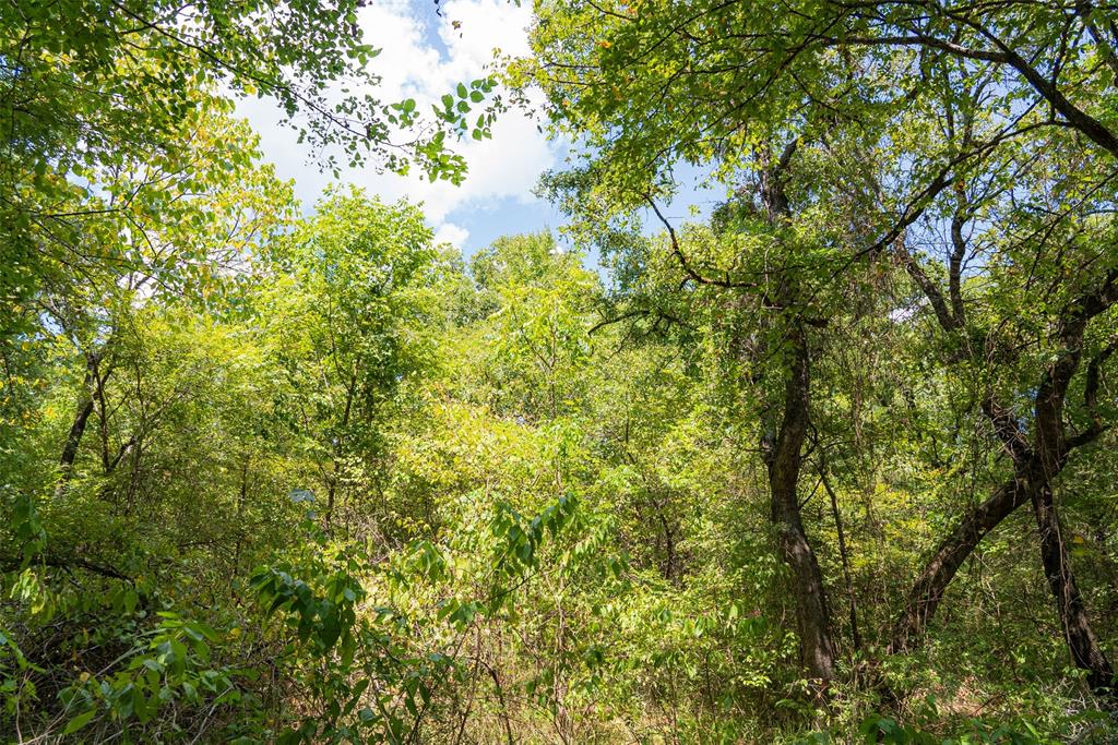11748 River Ranch Road Kemp, TX 75143 - Photo 29 of 40 Gallery Image 29