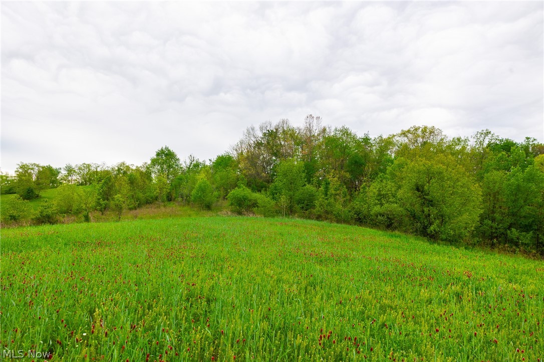 60936 Patch Road New Concord, OH 43762 - Photo 23 of 50