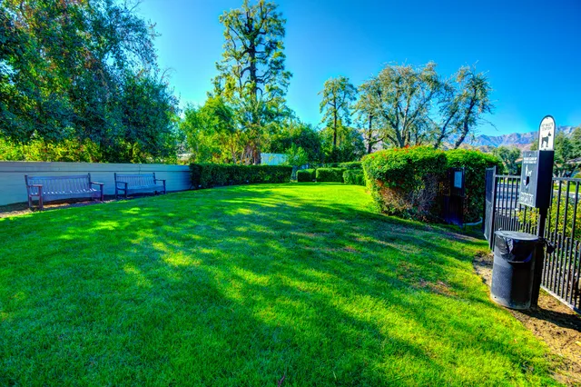 a view of a backyard with plants and a garden