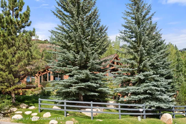 a view of a big yard with plants and large trees
