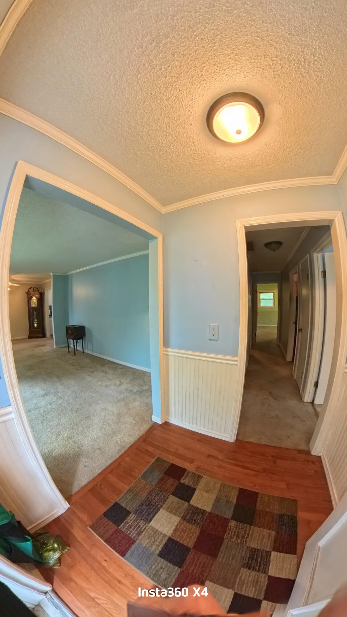 226 Loblolly Circle Ladson, SC 29456 - Photo 8 of 23 IMG_20251030_110216_361