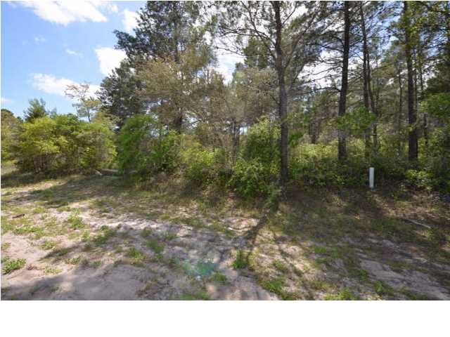 244 River Road Carrabelle, FL 32322 - Photo 6 of 8 Gallery Image 6