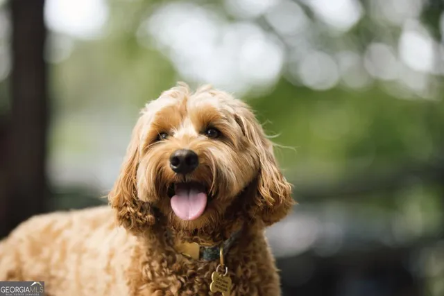 $929,000 | 1211 Turnberry Circle, Greensboro, GA 30642