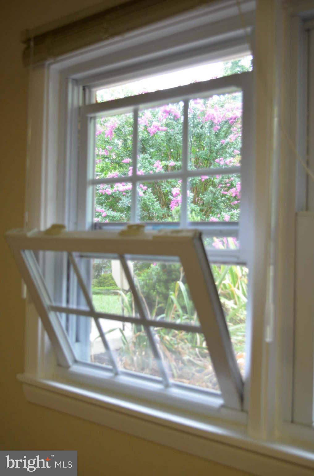 1306 Gresham Road Silver Spring, MD 20904 - Photo 10 of 11 Window