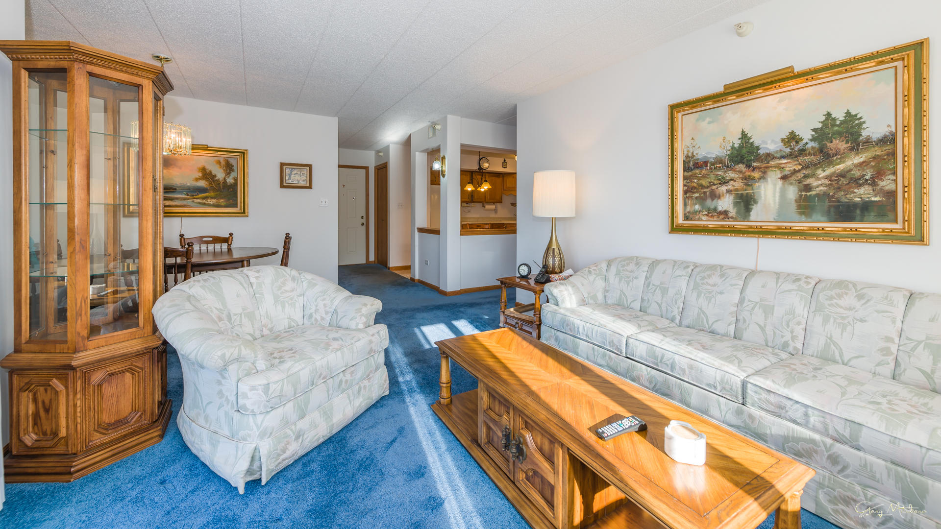 3680 186th Street, Unit 303 Lansing, IL 60438 - Photo 4 of 23 a living room with furniture and wooden floor