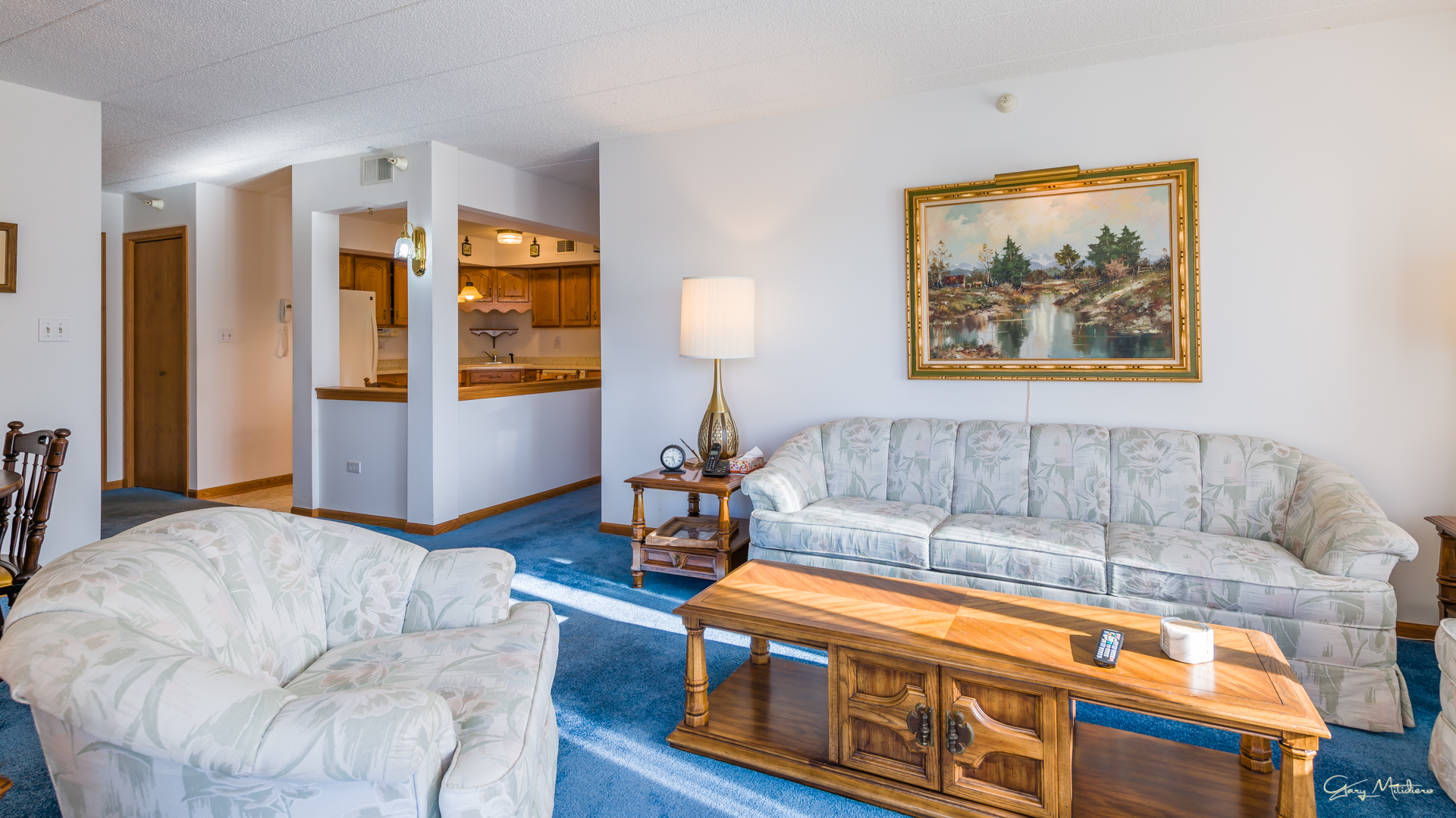 3680 186th Street, Unit 303 Lansing, IL 60438 - Photo 5 of 23 a living room with furniture and wooden floor