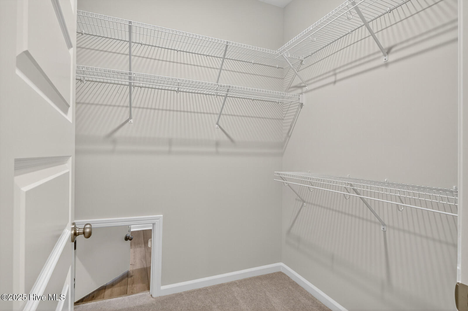 2233 Star Shower Way Leland, NC 28451 - Photo 16 of 47 Primary closet